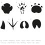 Animal Tracks Monochrome Print, thumbnail 3 of 4