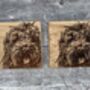 Set Of Two Cockapoo Coasters, thumbnail 2 of 3