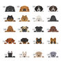 Personalised Dog Adventures Pop Out Photo Box, thumbnail 10 of 12