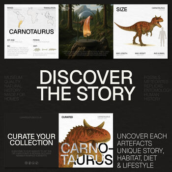 Carnotosaurus 3D Replica Dinosaur Skull, 3 of 3