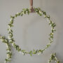 Mistletoe LED Light Up Wreath, thumbnail 1 of 3
