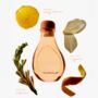 Orange Blossom Reed Diffuser 150ml, thumbnail 4 of 6