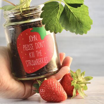 Personalised 'Don't Kill Me' Strawberry Jar Grow Kit, 2 of 11