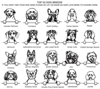 A Fathers Day Dog Card For Perfect For Any Dog Dad, 4 of 4
