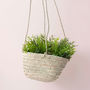 Natural Woven Hanging Planter Basket, thumbnail 3 of 4