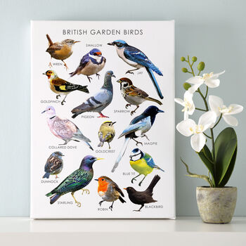 Personalised British Garden Birds Artwork, 3 of 7