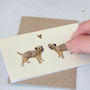 Boxed Collection Of Border Terrier Gift Cards, thumbnail 4 of 4