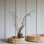 Also Home Venlig Large Round Water Hyacinth Tray, thumbnail 2 of 4