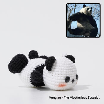 Popular Giant Panda Pals Collection, 3 of 9