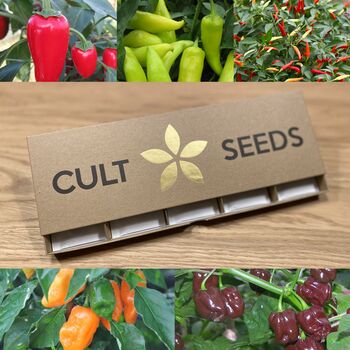 Grow Your Own Chilli Seeds Selection Pack, 2 of 7