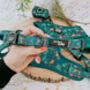 Cheeky Monkey Dog Harness With Optional Set, thumbnail 5 of 8