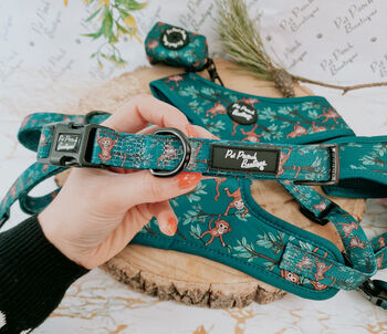 Cheeky Monkey Dog Harness With Optional Set, 5 of 8
