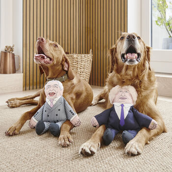 Boris Johnson Parody Dog Toy, 2 of 7