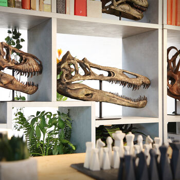 Suchomimus Skull Replica – Anatomically Accurate Dinosaur Model – Museum Quality Prehistoric Tabletop Decor 3D Printed Home Decoration, 3 of 5