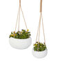 Set Of Two Monteserin Hanging Planters, thumbnail 2 of 5