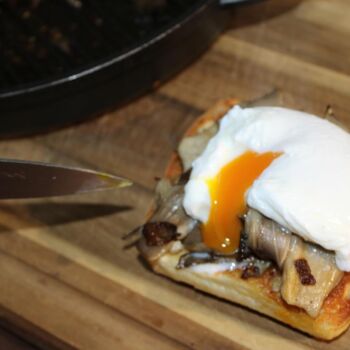 Ready To Grow Oyster Mushroom Growing Kit, 7 of 9