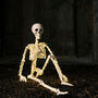 Micro LED Light Up Skeleton Halloween Decoration, thumbnail 4 of 12