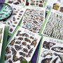 Wildlife Of Britain Greeting Cards Pack Volume Four, thumbnail 11 of 12