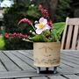Smiley Face And Fish Plant Pot Personalised, thumbnail 6 of 9