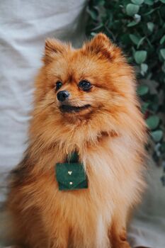 Suede Dog Wedding Ring Bearer Box Or Pouch, 10 of 10