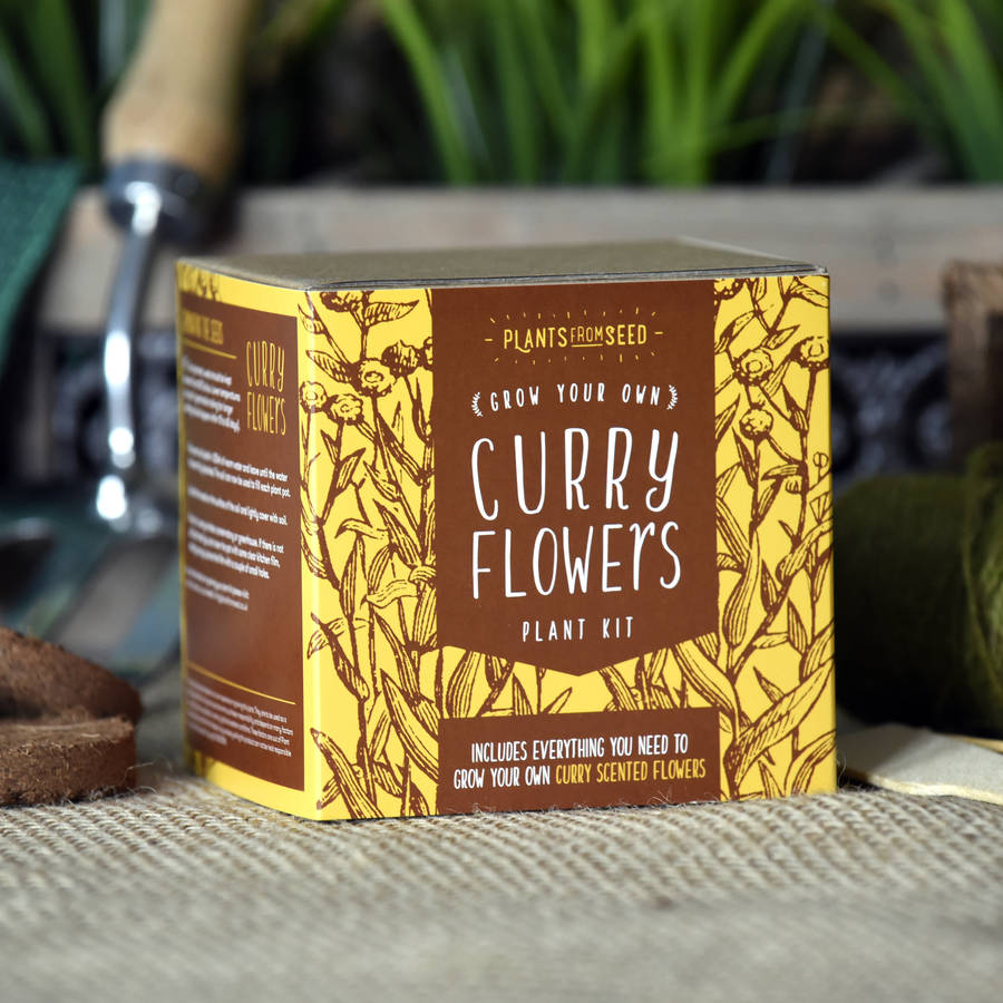 Grow Your Own Curry Scented Flowers Plant Kit By Plants From Seed