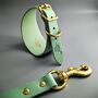 Turquoise Leather Whippet Collar And Matching Lead Set, thumbnail 1 of 12