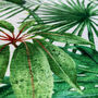 Green Tropical Palm And Eucalyptus Leaves Cushion Cover, thumbnail 6 of 7