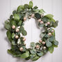 Winter Botanicals Eucalyptus Sparkle Wreath, thumbnail 3 of 6