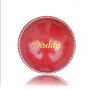 Daddy's Personalised Cricket Ball, thumbnail 1 of 4