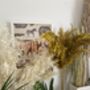 Dried Yellow Pampas Grass Bunch, thumbnail 2 of 4