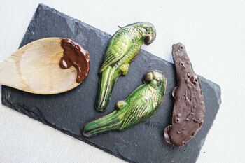 Four Hand Painted Belgian Dark Chocolate Parakeets, 5 of 5