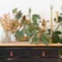 Houseplant Begonia Maculata, thumbnail 5 of 6