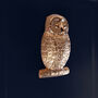 G Decor Golden Owl Polished Brass Door Knocker, thumbnail 1 of 4