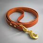 Brown Leather Whippet Collar And Matching Lead Set, thumbnail 4 of 12