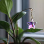 Star Suncatcher, Plant Gift, thumbnail 3 of 5