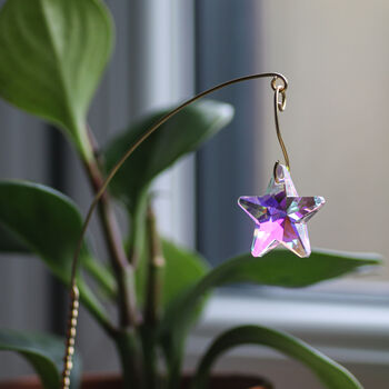 Star Suncatcher, Plant Gift, 3 of 5