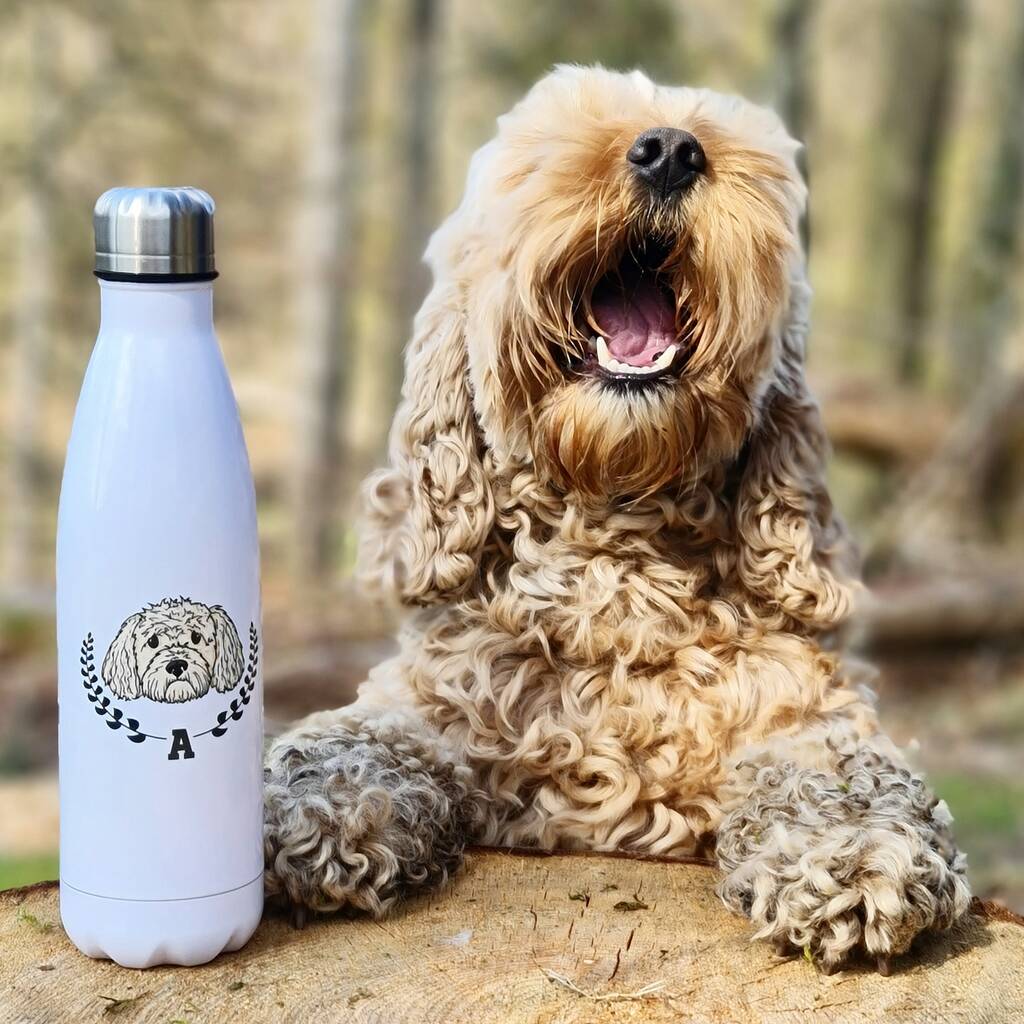 Personalised Dog Varsity Vacuum Water Bottle, 1 of 11