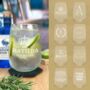 Personalised Gin Queen Gift W/ Coaster Custom Set, thumbnail 1 of 12