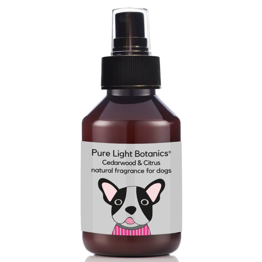 Organic Christmas Dog Shampoos And Conditioner 100ml By Pure Light