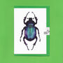 Purple Beetle Illustrated Blank Greeting Card, thumbnail 4 of 10