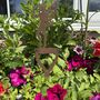 Fairy Decoration Gift Present For The Home Or Garden, thumbnail 7 of 8
