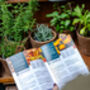 Christmas Dinner Herb Collection Six X Nine Cm Herbs With Pots, Booklet, Snips And Wooden Plant Labels, thumbnail 7 of 8
