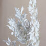 Natural Bleached White Leaf Ruscus Long Stems, thumbnail 4 of 4