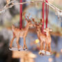 Family Of Deer Wooden Hanging Christmas Decorations, thumbnail 4 of 5