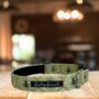 The Hive Green Luxury Dog Collar, thumbnail 1 of 2