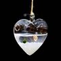 Hanging Glass Heart Vase Marimo Moss Ball, thumbnail 4 of 4