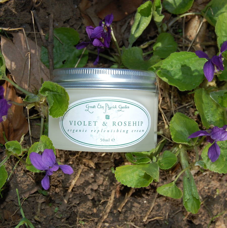 Violet And Rosehip Organic Replenishing Cream, 1 of 5