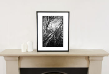 Shadowed Tree Iii, Suffolk Photographic Art Print, 2 of 4