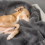 Charley Chau Faux Fur Dog Blanket In Russian Blue, thumbnail 1 of 5