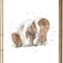 Trio Of Shetland Pony Prints, thumbnail 3 of 6